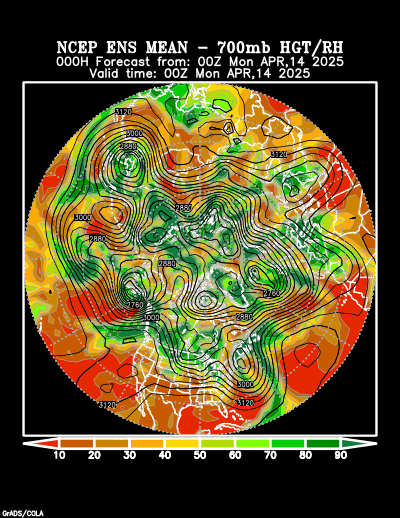 NCEP Ensemble forecast product