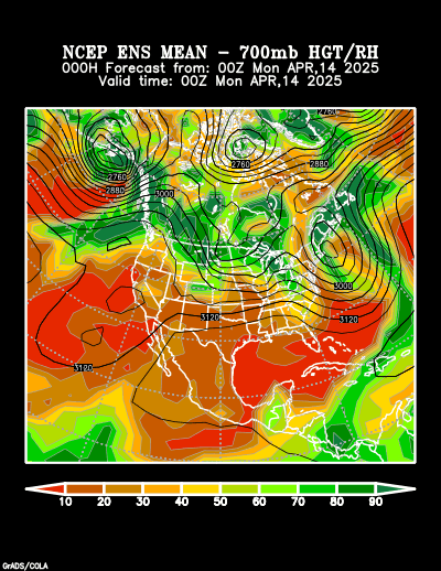 NCEP Ensemble forecast product