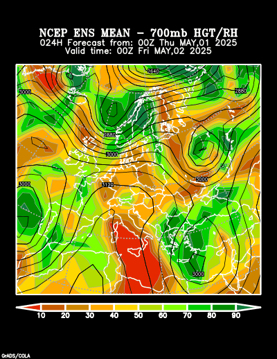 NCEP Ensemble forecast product