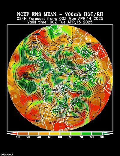 NCEP Ensemble forecast product