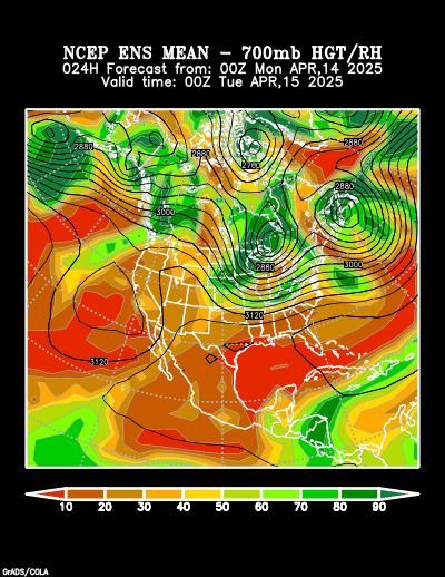 NCEP Ensemble t = 024 hour forecast product