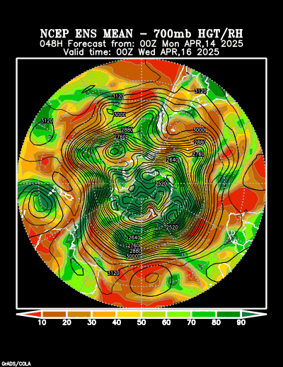 NCEP Ensemble t = 048 hour forecast product