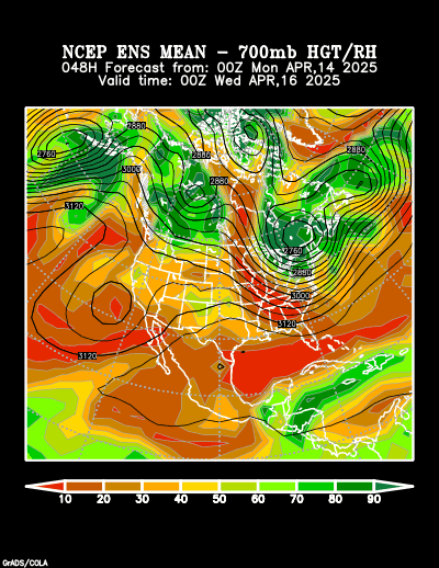 NCEP Ensemble forecast product