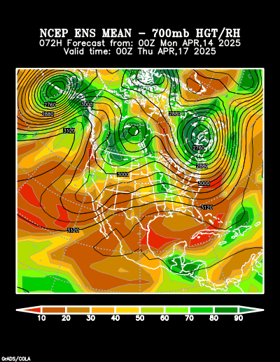 NCEP Ensemble forecast product