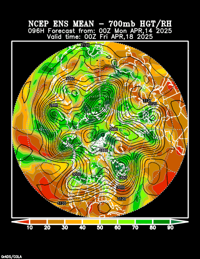 NCEP Ensemble forecast product