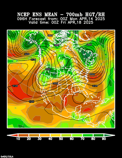 NCEP Ensemble t = 096 hour forecast product