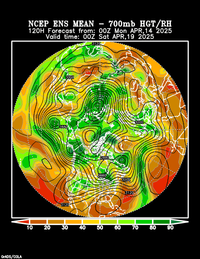 NCEP Ensemble t = 120 hour forecast product