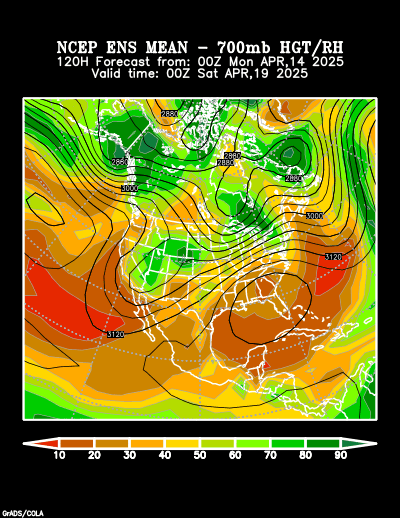 NCEP Ensemble forecast product