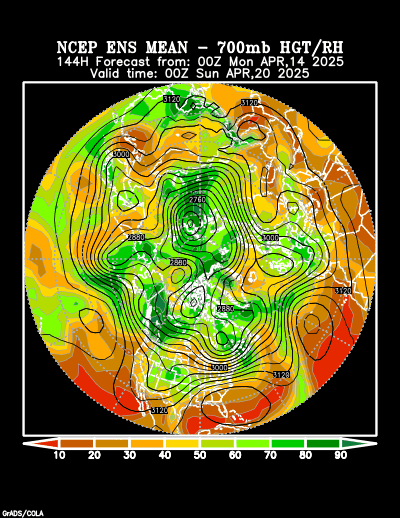 NCEP Ensemble forecast product