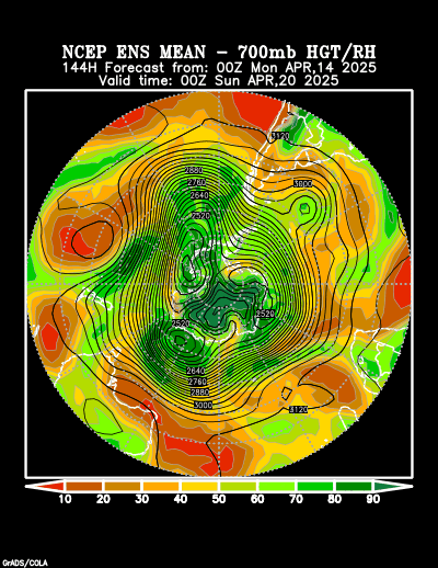 NCEP Ensemble forecast product