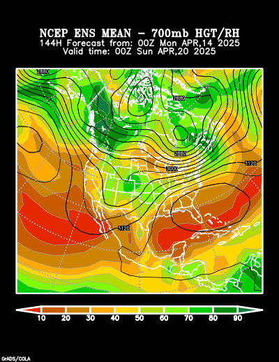 NCEP Ensemble forecast product