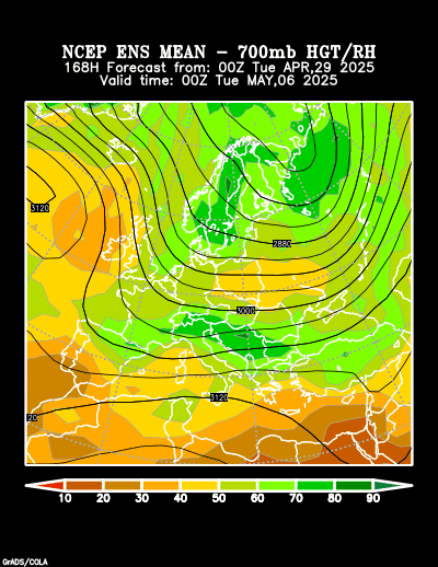 NCEP Ensemble t = 168 hour forecast product