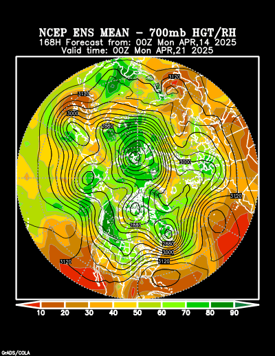 NCEP Ensemble forecast product