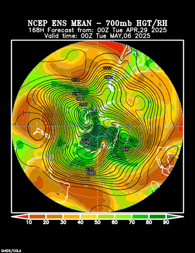 NCEP Ensemble t = 168 hour forecast product