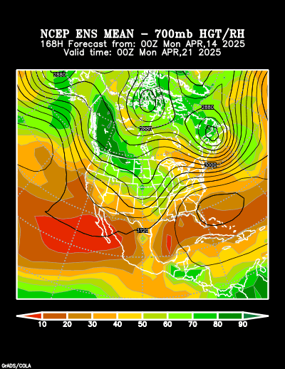 NCEP Ensemble forecast product