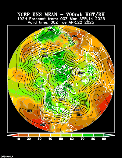 NCEP Ensemble t = 192 hour forecast product