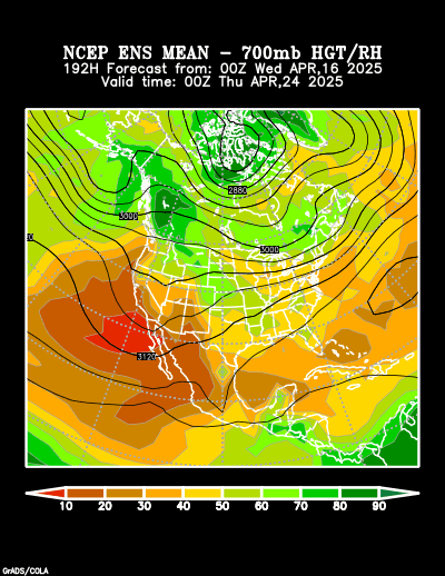 NCEP Ensemble forecast product