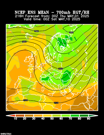 NCEP Ensemble t = 216 hour forecast product