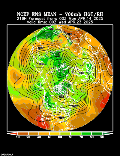 NCEP Ensemble t = 216 hour forecast product