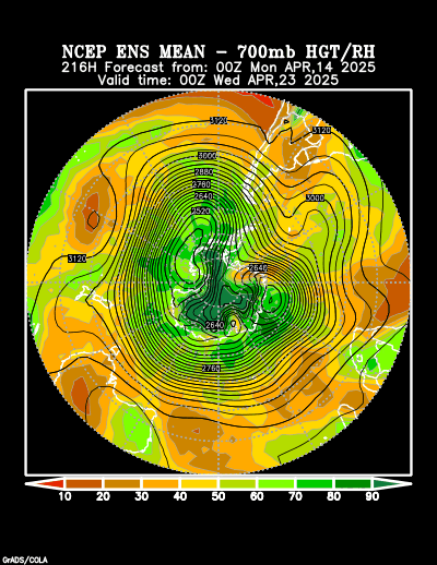 NCEP Ensemble t = 216 hour forecast product