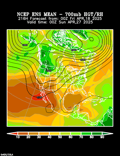 NCEP Ensemble forecast product