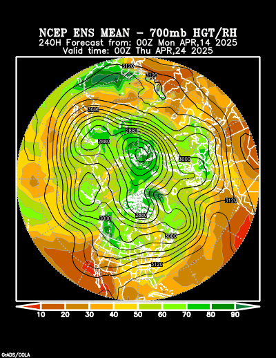 NCEP Ensemble forecast product