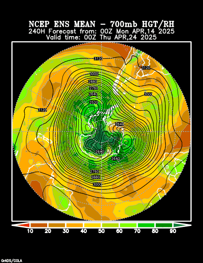 NCEP Ensemble t = 240 hour forecast product