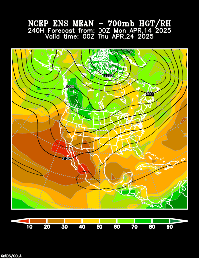 NCEP Ensemble t = 240 hour forecast product