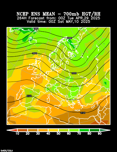 NCEP Ensemble t = 264 hour forecast product