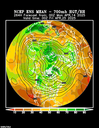 NCEP Ensemble t = 264 hour forecast product