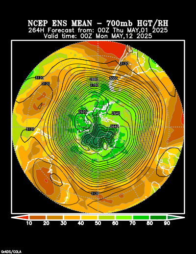 NCEP Ensemble t = 264 hour forecast product