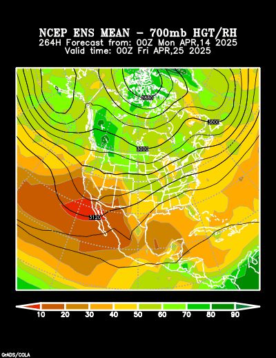 NCEP Ensemble forecast product