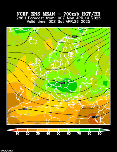 NCEP Ensemble t = 288 hour forecast product