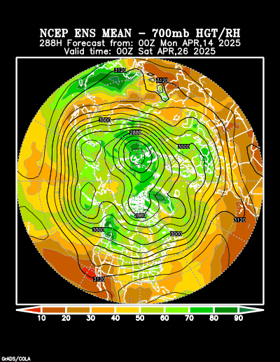 NCEP Ensemble forecast product