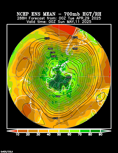 NCEP Ensemble forecast product