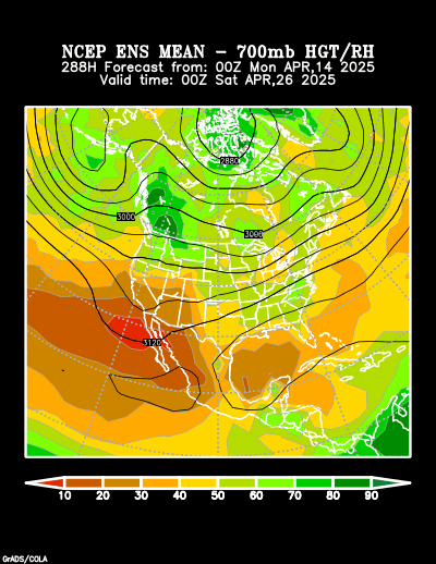 NCEP Ensemble t = 288 hour forecast product