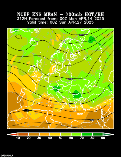 NCEP Ensemble t = 312 hour forecast product