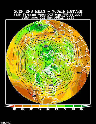 NCEP Ensemble forecast product