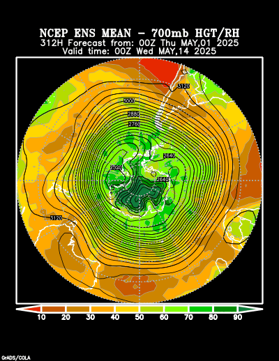 NCEP Ensemble t = 312 hour forecast product