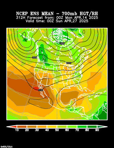 NCEP Ensemble t = 312 hour forecast product