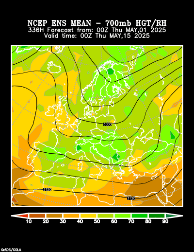 NCEP Ensemble t = 336 hour forecast product