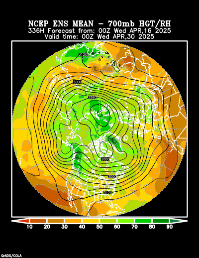 NCEP Ensemble forecast product