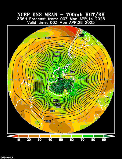 NCEP Ensemble forecast product