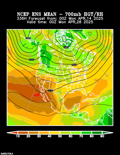 NCEP Ensemble t = 336 hour forecast product