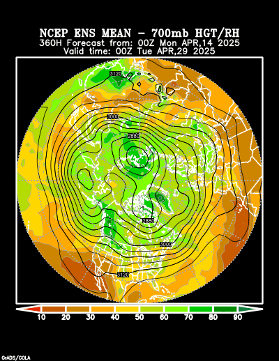 NCEP Ensemble forecast product