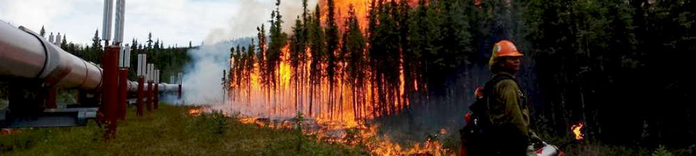 The Aggie Creek Fire, 30 miles northwest of Fairbanks, AK, was started by a lightning strike in June 2015. Credit: USFS
