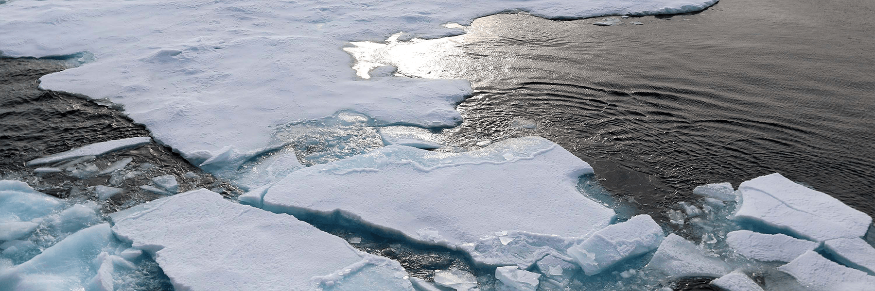 Arctic sea ice (Credit: NOAA)