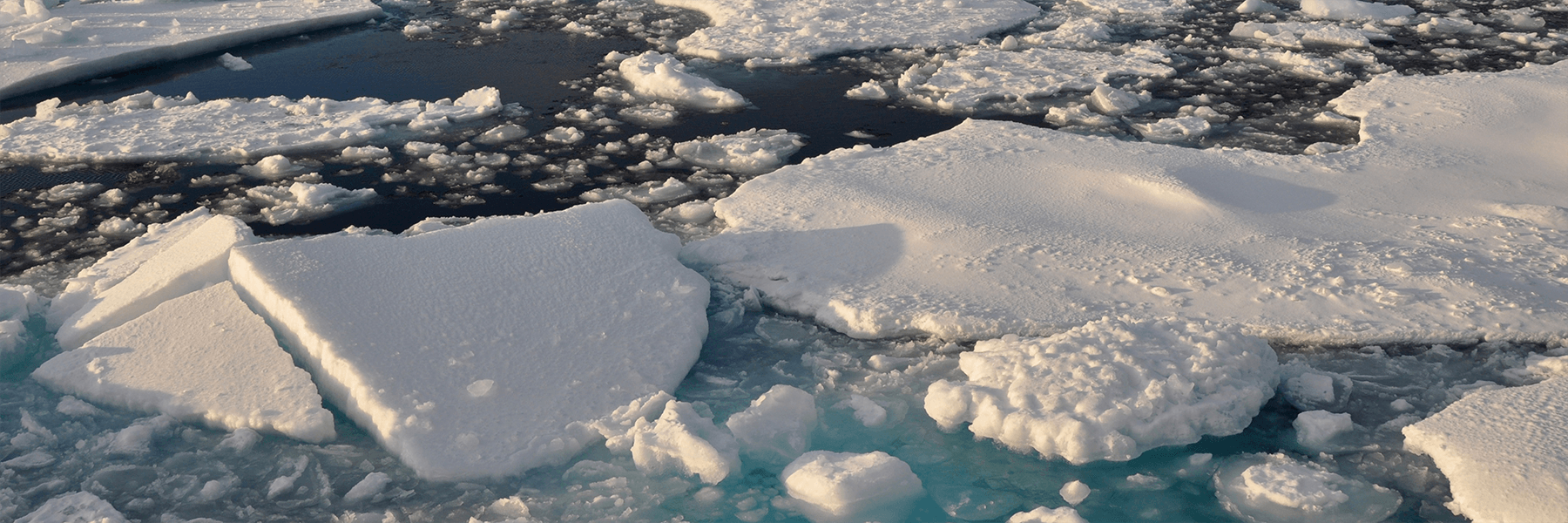 Arctic sea ice (Photo credit: USGS)