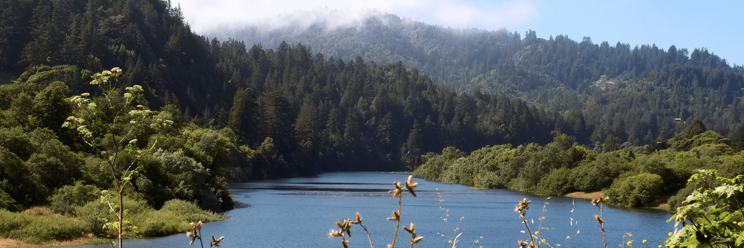 Russian River by Ingrid Taylar (Flickr CC BY 2.0)