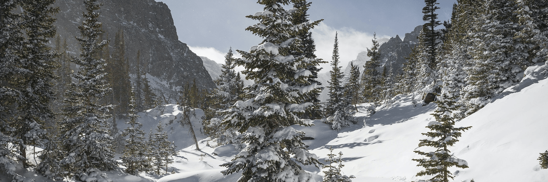 Snowy scene at Glacier National Park, by Andrew Gloor on Unsplash.com)